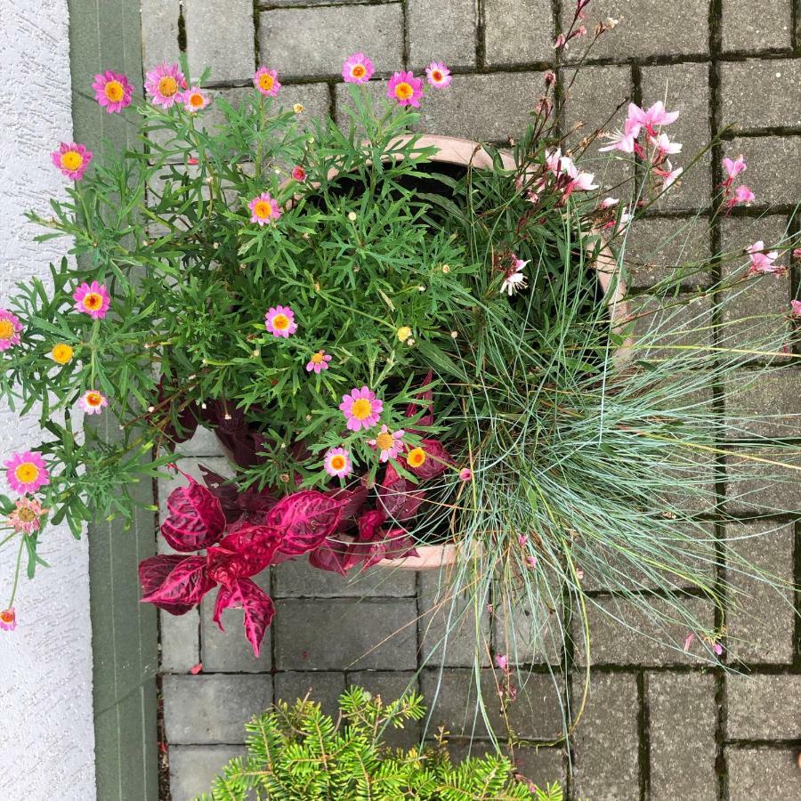帕兰加Juros Brizas公寓 外观 照片
